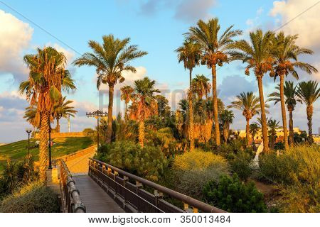 Picturesque bridge over a ravine. Evening twilight over Old Jaffa. Palm trees on the hill 