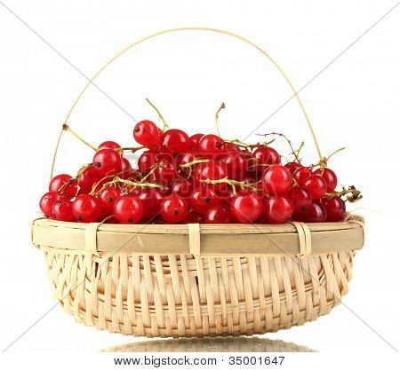 redcurrants ในตะกร้าแยกต่างหากบนพื้นสีขาว