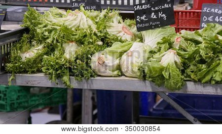 Organic Escarole Salad On The Market Place