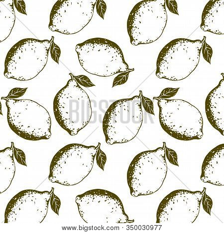 Fruits Pattern With Graphic Fresh Lemons On White Background. Great Element For Food Design.