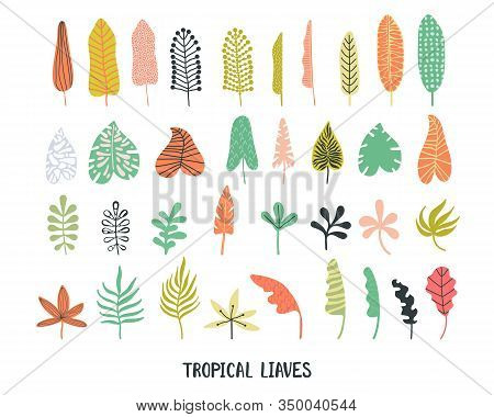 Set Tropical Leaves Hand Drawn Flat Illustrations. Exotic Plants Sketch Cliparts Collection. Bright 