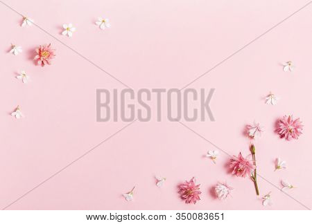 Festive Flowers Composition. Frame Made Of Pink And Purple Small Flowers On Pink Background.