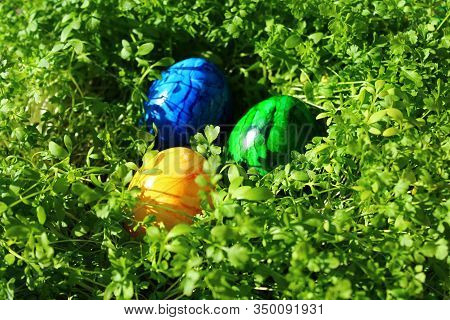 Three Eastereggs In The Cress In The Eastertime