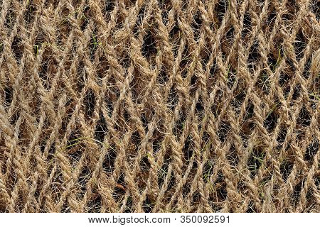 Planting Mat Made Of Coconut Fiber With Blades Of Gras Coming Through