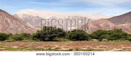 Cerro Blanco Sand Dune Panoramic View, The Highest Dunes On The World, Located Near Nasca Or Nazca T