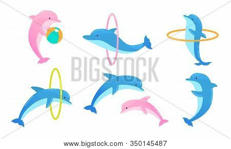 Set Of Colorful Playful Dolphins Performing Tricks With Ring And Ball. Vector Illustration In Flat C