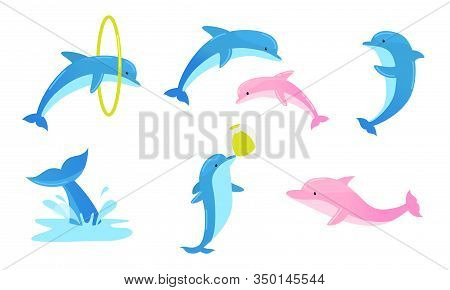 Set Of Colorful Playful Dolphins Performing Tricks With Ring And Ball. Vector Illustration In Flat C