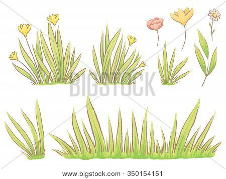 Set Of Spring Herbs, Plants And Flowers. Imitation Of Handmade Watercolor
