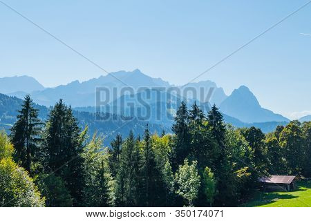 Fir Trees In Front Of Alps Bavaria