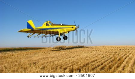 Фотография 1