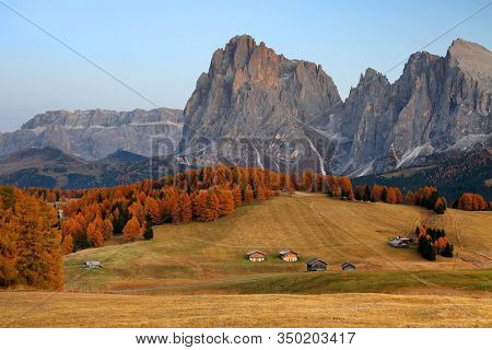 Autumn sunrise scenery with yellow larches in Alpe di Siusi (Seiser Alm) Dolomites, Italy, Europe