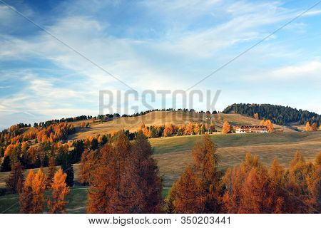Autumn sunrise scenery with yellow larches in Alpe di Siusi (Seiser Alm) Dolomites, Italy, Europe