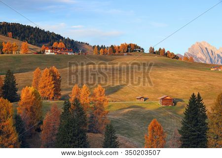 Autumn sunrise scenery with yellow larches in Alpe di Siusi (Seiser Alm) Dolomites, Italy, Europe