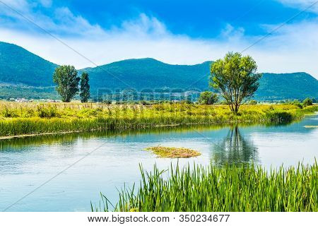 Croatia, Beautiful Greennature, Gacka River In Lika Region, Field Summer View