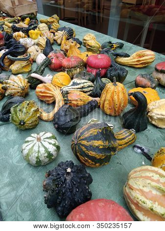 Colorful Pumpkins Photographed In A Banquet Of An Italian Local Market