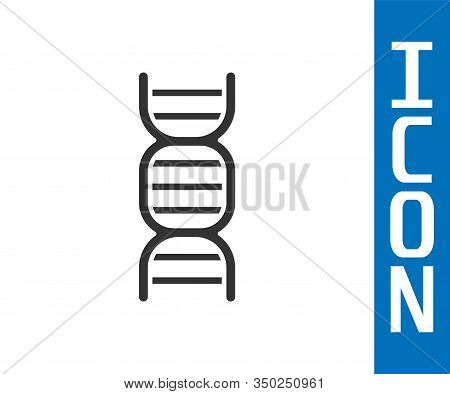 Grey Dna Symbol Icon Isolated On White Background. Vector Illustration