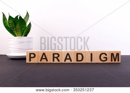 Paradigm Word Made With Building Blocks On A Light Background