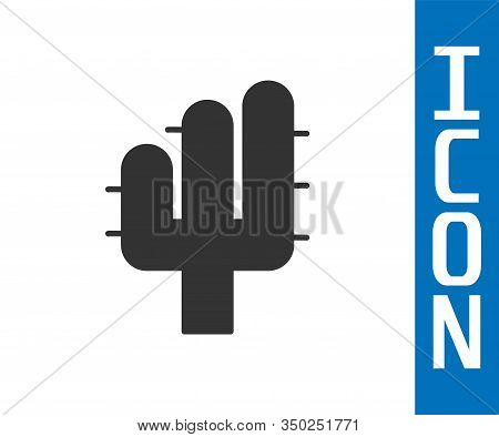 Grey Cactus Icon Isolated On White Background. Vector Illustration