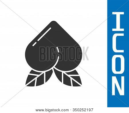 Grey Peach Fruit Or Nectarine With Leaf Icon Isolated On White Background. Vector Illustration