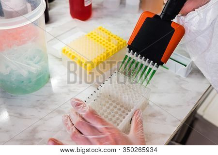 A Scientist Uses A Multi-pipette For Research In The Laboratory. Working With Chemicals. Scientific 