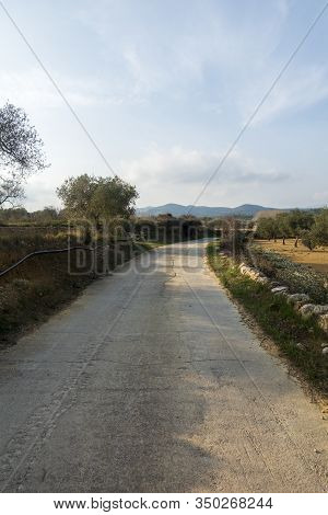 The Surroundings Of The Town Of Sant Mateu