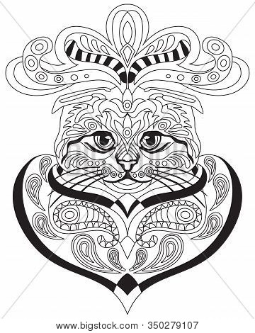 Vector Hand Drawing Zentangle Doodle Coloring Antistress With Ornamental Scottish Fold Cat Portrait 