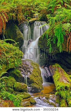 Cachoeira do escondido em uma gruta de samambaia