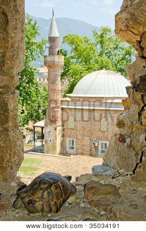 Mamure (Anamur) Kaplumbağa kalıntılar, Türkiye'nin kale