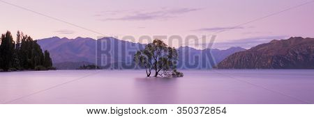 Wanaka Tree New Zealand. Mountain Lake Sunset Panorama. Beautiful Colorful Sky. Sunset Landscape Pan