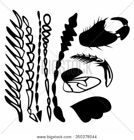A Set Of Nine Different Insect Parts. Antennae, Chitin, And Insect Wings. Vector Illustration.
