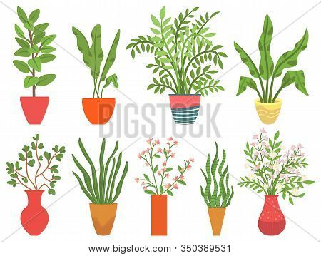 Flowers In Vases, Floral Decor For Home Flat Style Flourishing On Branches, Plant With Frondage, Ten
