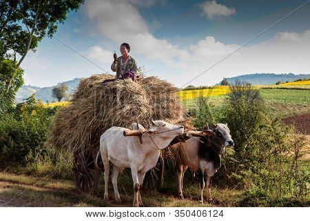 Pindaya, Myanmar - Nov 08, 2019: Working People Of Myanmar, Former Burma On The Road From Heho To Pi
