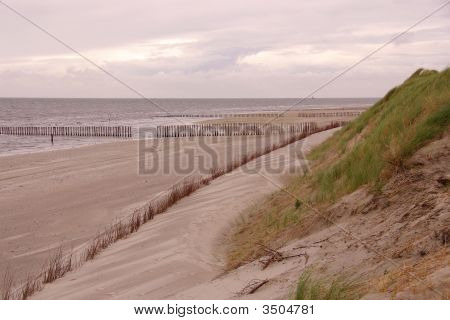 Playa
