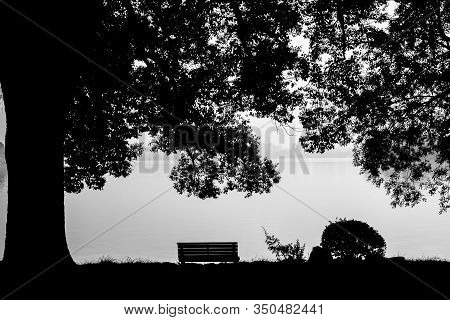 Blavk And White View Of Green Environment With Tree, Seat Bench And Park At Xihu Lake Or The West La