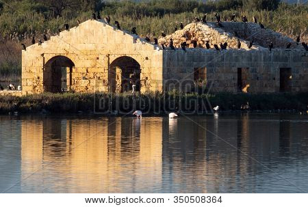 A Ruined Building Reflecting Into The Water With Birds On Top Of It