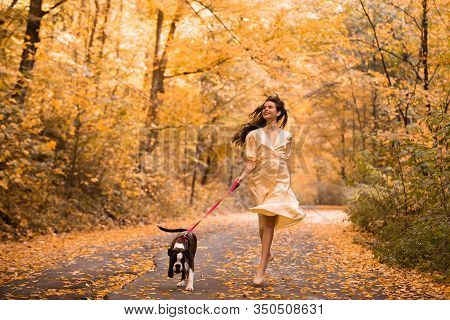 Young Woman With The Dog In The Park. Wind In The Hair. With Dog On A Walk In An Autumn Nature. Youn