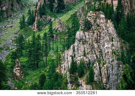 Sharp Stones Of Big Rocky Mountain With Coniferous Trees. Colorful Green Landscape With Rocks And Tr