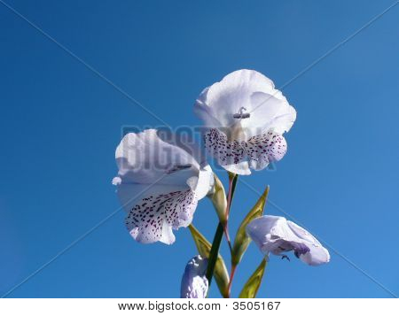 อุทยานแห่งชาติฝั่งตะวันตก