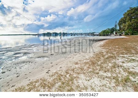 Yamba Nsw mit Pelikane am Strand Fluss