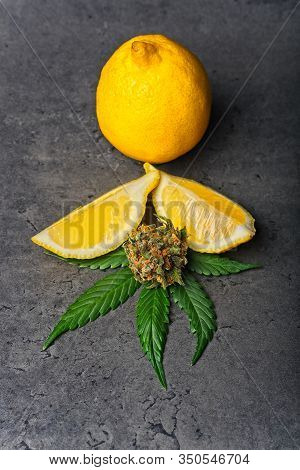 Cannabis Bud And Leaf With Lemon