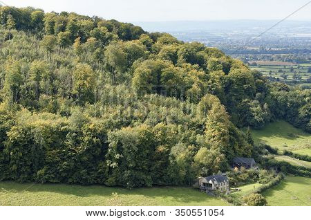 Pen Hill Woods, Selsley Common, Stroud, Gloucestershire, Uk