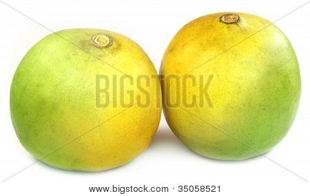 Medizinische Bael Frucht