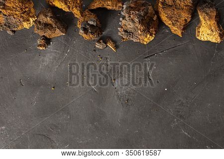 Wild Chaga Mushroom Lives On Birch Bark, Inonotus Obliquus, On Dark Textured Background. Top View. I