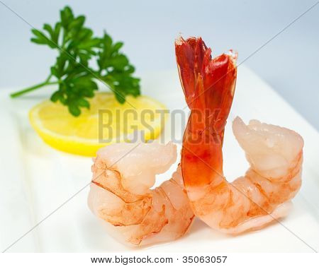 krewetki