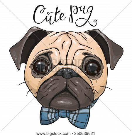 Cute Cartoon Pug Dog With A Bow Tie Isolated On A White Background