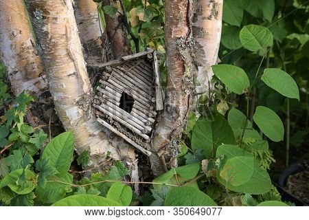 Wooden Homemade Nestingbox, A Contribution To The Protection Of Bird Species