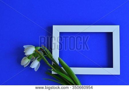 Photo Frame And Fresh Snowdrops On A Classik Blue Background.spring Mood. Copy Space In The Middle F