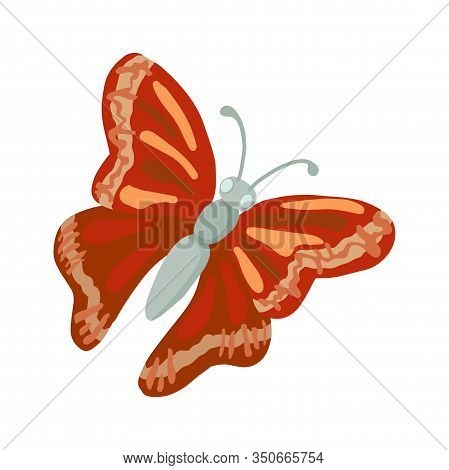 Butterfly With Red Wings. Vector Isolated Illustration
