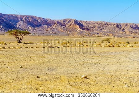 View Of Wadi Paran Nature Reserve, In The Negev Desert, Southern Israel