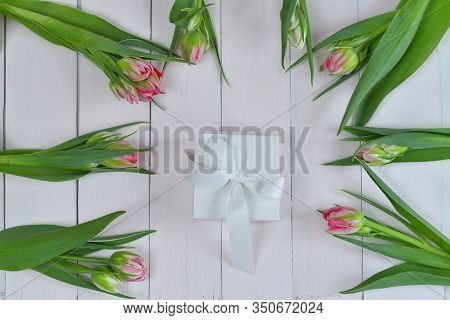 Valentines Day Romantic Background With White Gift Box And Pinktulips. Greeting Card With Pink Tulip